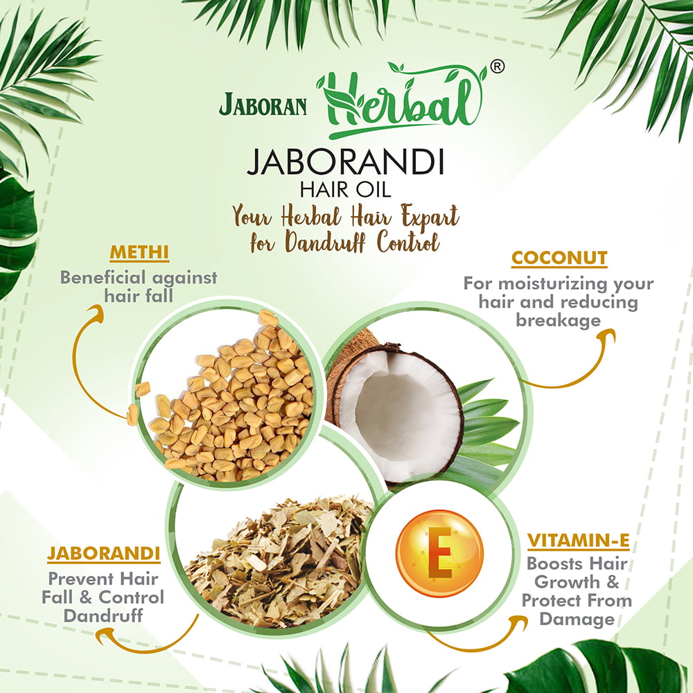 JABORANDI HAIR OIL for Hair Regrowth and Dandruff Control with Coconut,  Methi & Vitamin E – Avirupa Homoeo